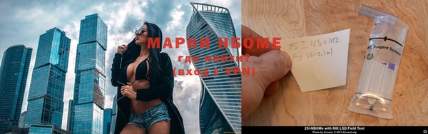 стаф Магас