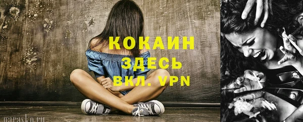 прущие грибы Магадан