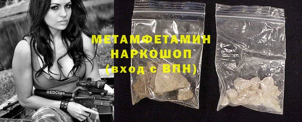прущие грибы Магадан