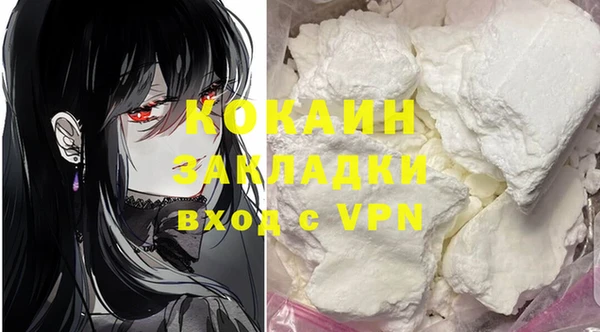 стаф Магас