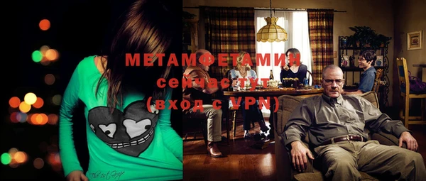 прущие грибы Магадан