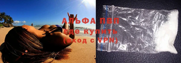 прущие грибы Магадан