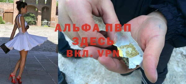 прущие грибы Магадан