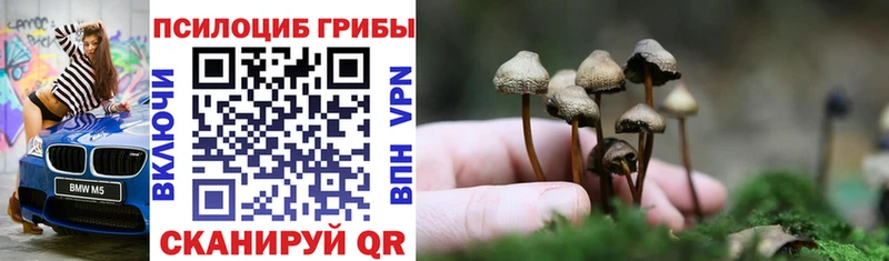 Псилоцибиновые грибы мухоморы  omg как зайти  Новая Ляля  как найти наркотики 